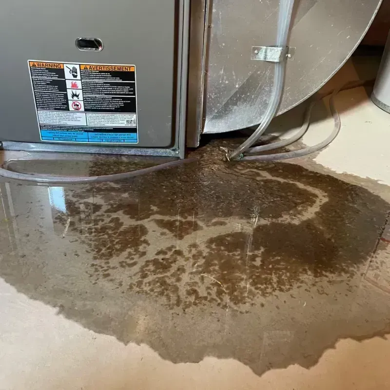 Appliance Leak Cleanup in Round Lake Beach, IL